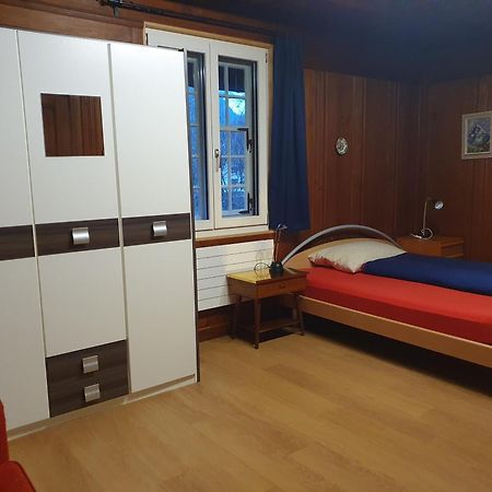 Traditional Swiss-Flat インターラーケン エクステリア 写真