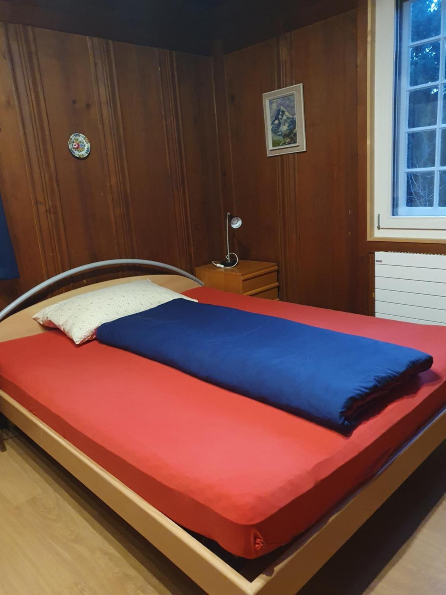 Traditional Swiss-Flat インターラーケン エクステリア 写真